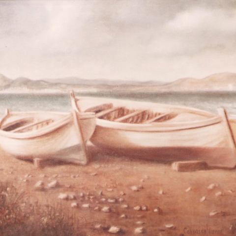 Boats on the Shore